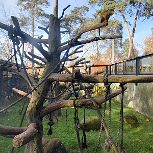 Mixed South American exhibit