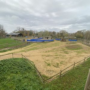 Current view of mixed African enclosure