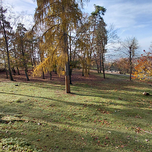 Mixed ungulate exhibit
