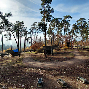 Mixed ungulate exhibit