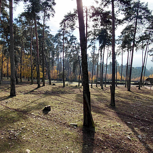 Mixed ungulate exhibit