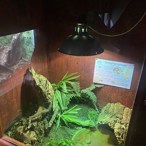 Nocturnal House - Elongated tortoise exhibit 011125