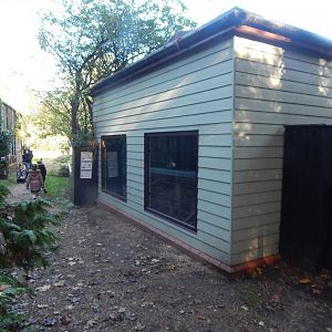 Eastern quoll enclosure 011125