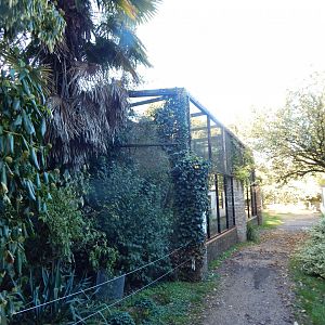 Mongoose lemur enclosure 011125