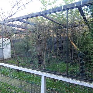 Snow leopard enclosure 011125