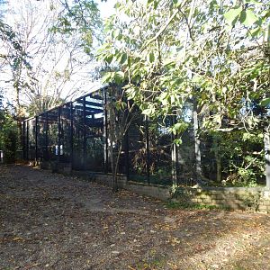 Binturong enclosure 011125