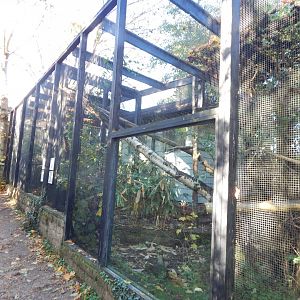 Binturong enclosure 011125