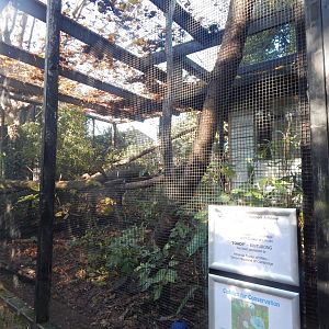 Binturong enclosure 011125