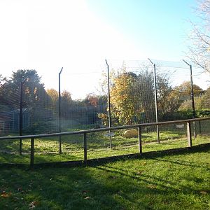 Lion enclosure 011125