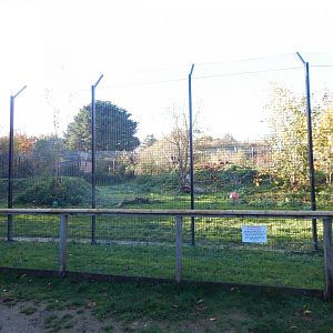 Lion enclosure 011125