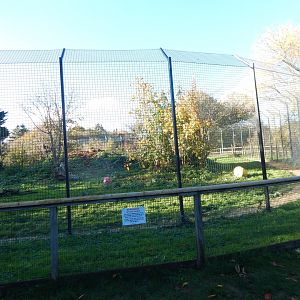 Lion enclosure 011125