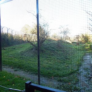 Lion enclosure 011125