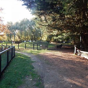 South American tapir enclosure 011125