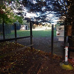 South American tapir enclosure no.2 011125