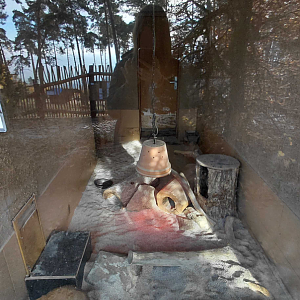 Yellow mongoose indoor exhibit