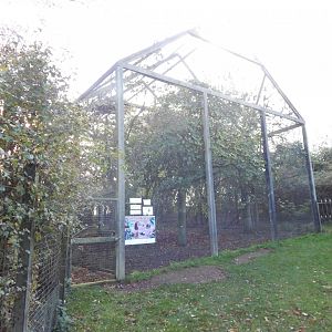 Southern ground hornbill aviary 011125