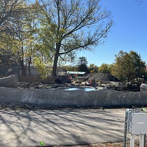 Future Bush Dog Habitat