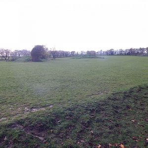 Hartmann's mountain zebra enclosure 011125