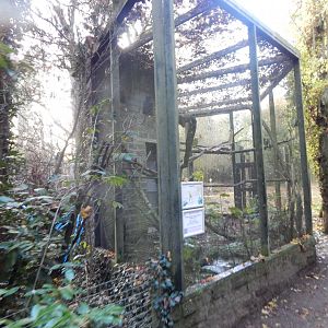 Double yellow-headed amazon aviary 011125