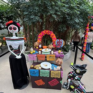 Day of Dead altar at the Butterfly House