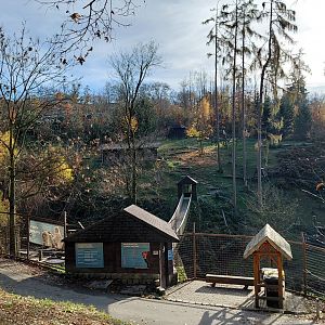 Japanese macaque exhibit