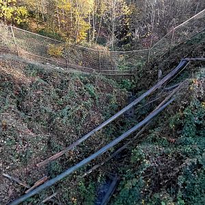Japanese macaque exhibit