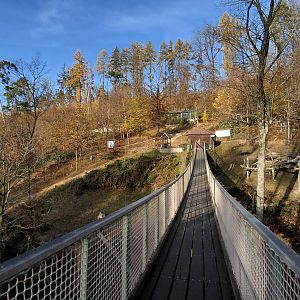 Japanese macaque exhibit