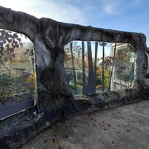 Amur leopard exhibit - viewing area