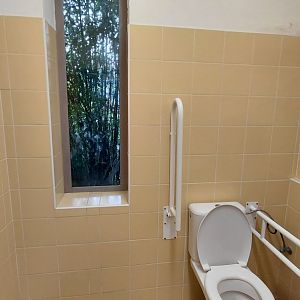 Amur leopard exhibit - viewing area