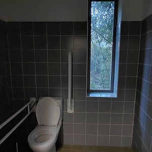 Amur leopard exhibit - viewing area