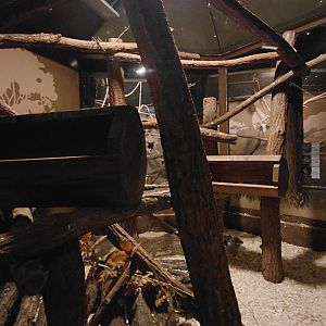 Brushtail possum + potoroo exhibit