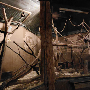 Flying fox + bettong exhibit