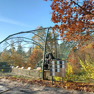 Bábovka - walk-in aviary