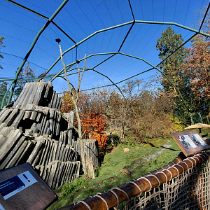 Bábovka - walk-in aviary