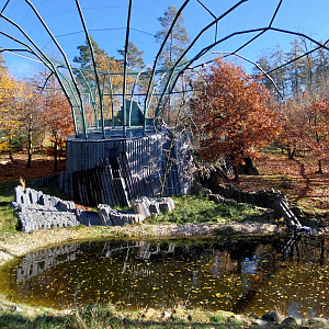 Bábovka - walk-in aviary