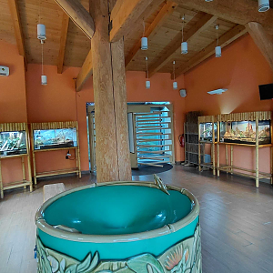 Room with terrariums