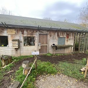 White-belted black and white-ruffed lemur house