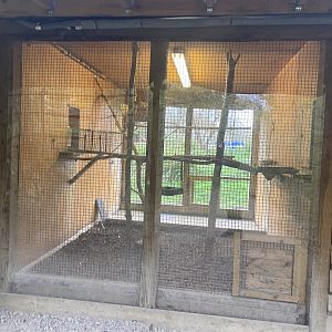 1st part of indoor ring-tailed lemur enclosure