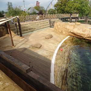 Lion Coast, 2nd October 2025