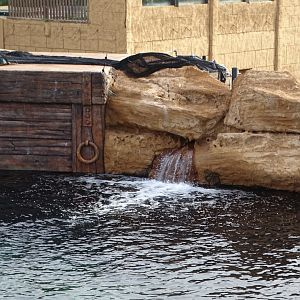 Lion Coast, 2nd October 2025