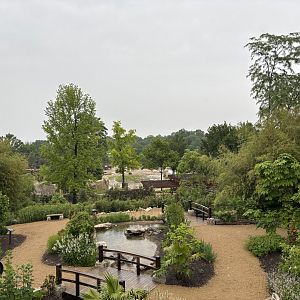 Cincinnati Zoo - Elephant Trek - View from the Komminsk Family Asian Waterfall Garden