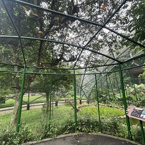 greater sunda - javan hawk-eagle aviary - taman burung