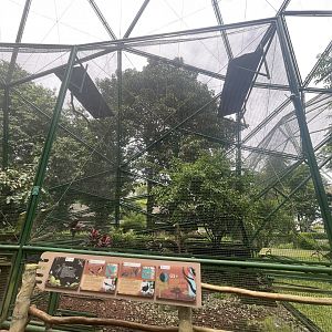 greater sunda - aviary no. 1 - taman burung