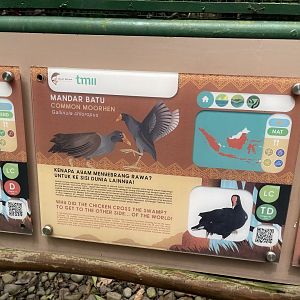 greater sunda - coomon moorhen signage - taman burung