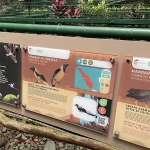 greater sunda - sumatran treepie signage - taman burung