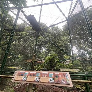 greater sunda - aviary no. 3 - taman burung