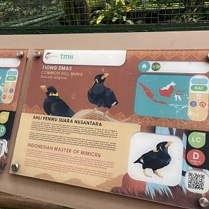 greater sunda - common hill myna signage - taman burung