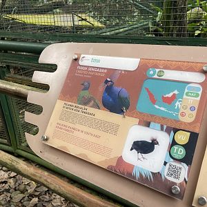 greater sunda - crested partridge signage - taman burung