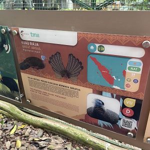 greater sunda - great argus signage - taman burung