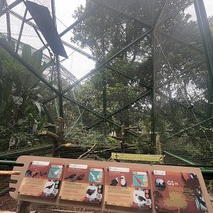 greater sunda - aviary no. 5 - taman burung